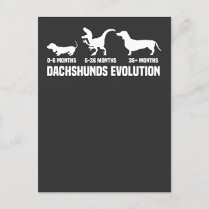 Postal De Invitación Evoluciones de Dachshund
