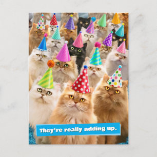 Postal De Invitación Fiesta de Gatos