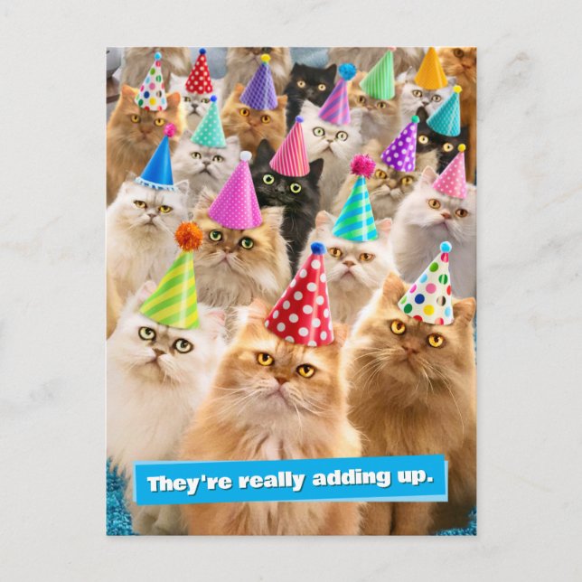 Postal De Invitación Fiesta de Gatos (Anverso)