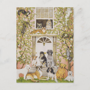 Postal De Invitación Fiesta de la casa de campo