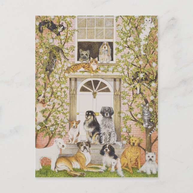 Postal De Invitación Fiesta de la casa de campo (Anverso)