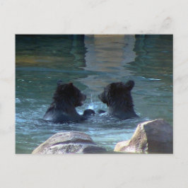 Postal De Invitación Fiesta De Natación De Oso Grizzly