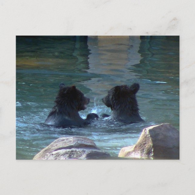 Postal De Invitación Fiesta De Natación De Oso Grizzly (Anverso)