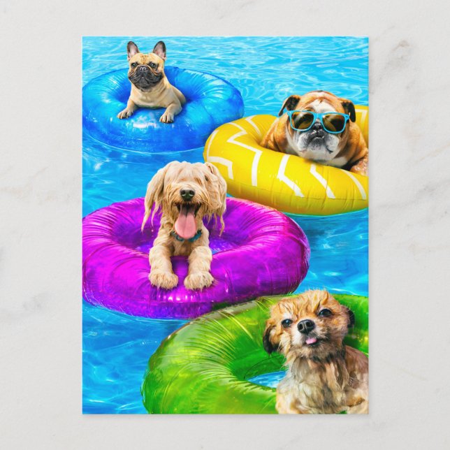 Postal De Invitación Fiesta de Perros en la Piscina (Anverso)