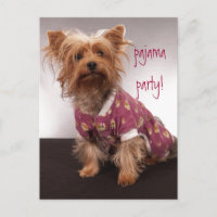 Fiesta de pijamas de Yorkie