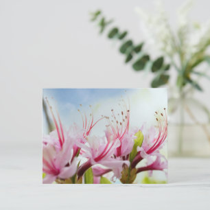 Postal De Invitación Flores de azalea salvaje