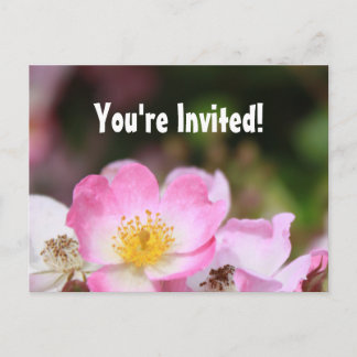 Postal De Invitación flores de rosa rosa silvestre hermosa fiesta de gr
