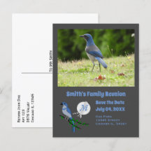 Florida Scrub Jay Family Reunion Monograma Foto