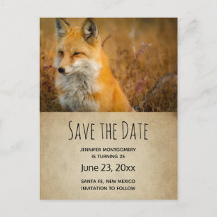 Postal De Invitación Foto de la naturaleza salvaje de Red Fox Cute
