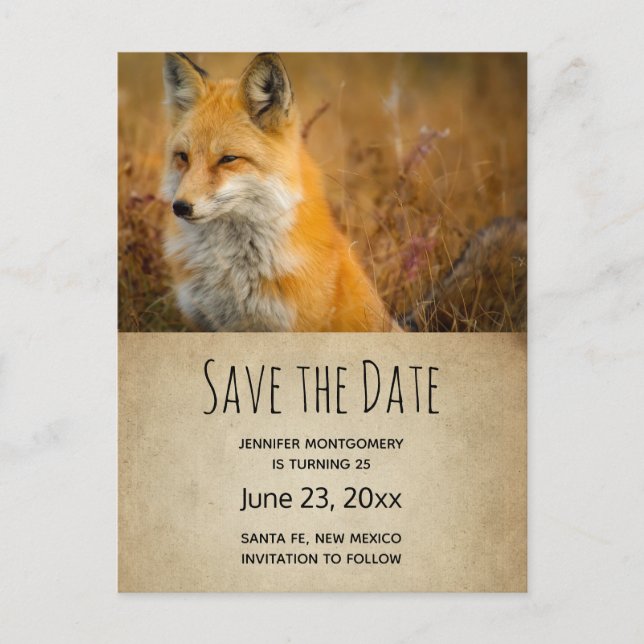 Postal De Invitación Foto de la naturaleza salvaje de Red Fox Cute (Anverso)