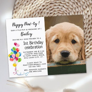 Postal De Invitación Foto de perro Mascota Puppy Pawty