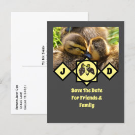 Postal De Invitación Foto en monograma de adorable Twin Ducklings