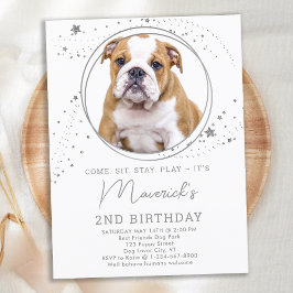 Postal De Invitación Foto Mascota personalizada de cumpleaños de perro