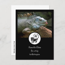 Fotografía en monograma de la silueta de la iguana