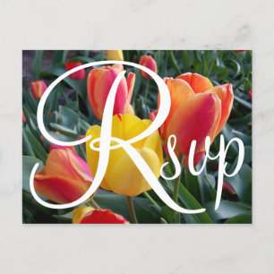 Postal De Invitación Fotos de Tulipanes Rojos y Amarillos RSVP Contempo