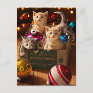 Postal De Invitación Gatitos en caja de adornos