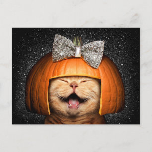 Postal De Invitación Gato Con Cabello De Calabaza