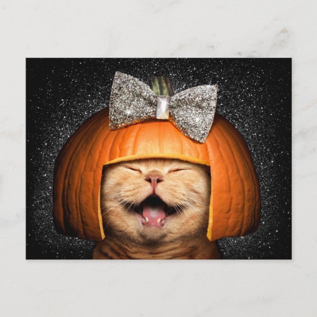 Postal De Invitación Gato Con Cabello De Calabaza (Anverso)