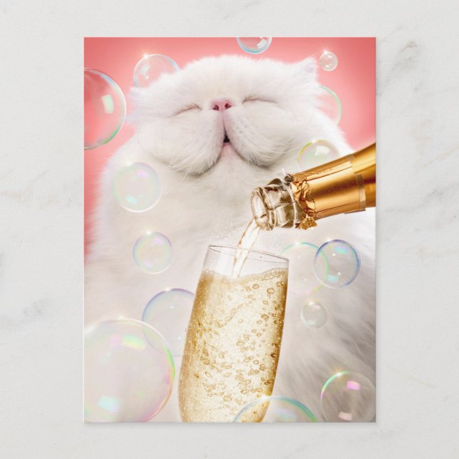 Postal De Invitación Gato con champagne (Anverso)
