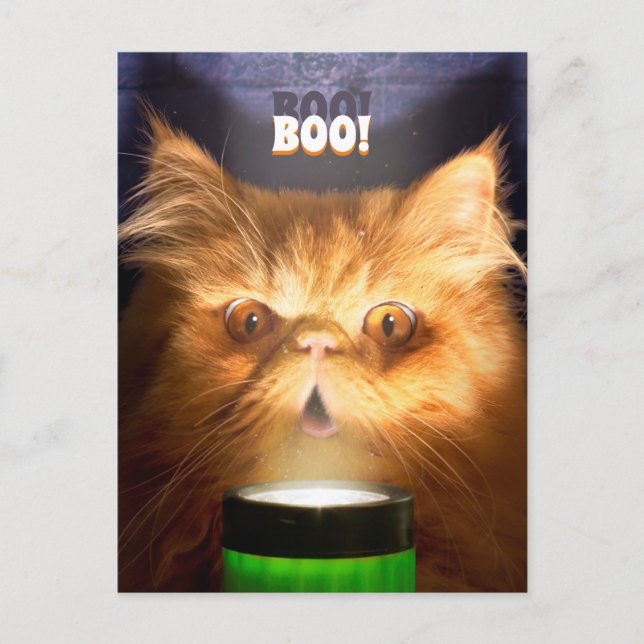 Postal De Invitación Gato con linterna (Anverso)