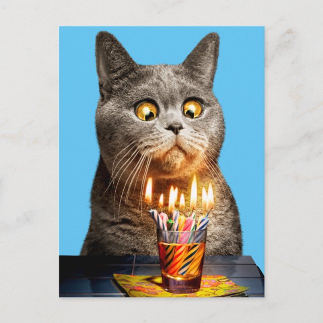 Postal De Invitación Gato con vaso de trago de cumpleaños (Anverso)