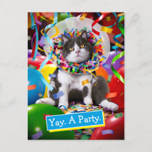 Postal De Invitación Gato En Cono De Fiesta