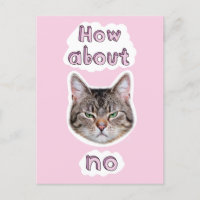 Gato enojado
