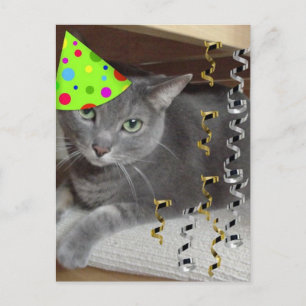 Postal De Invitación Gato gris animal fiesta