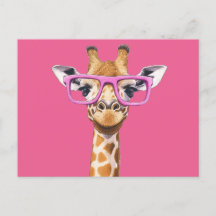 Giraffe con gafas rosas