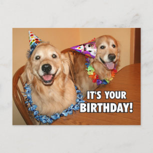 Postal De Invitación Golden Retriever Let's Fiesta Birthday