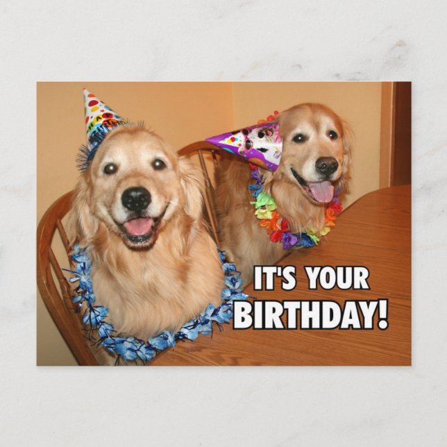 Postal De Invitación Golden Retriever Let's Fiesta Birthday (Anverso)