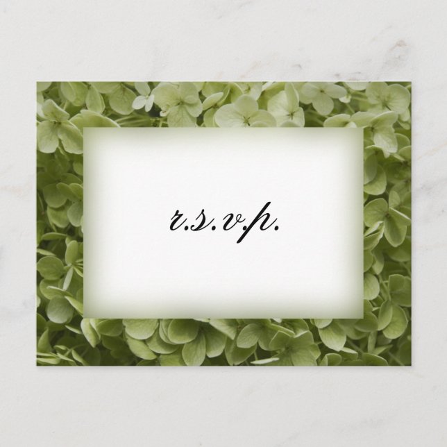 Postal De Invitación Green Annabelle Hydrangea Wedding RSVP (Anverso)