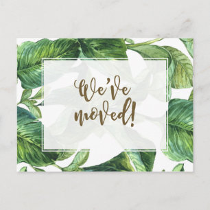 Postal De Invitación Hemos movido el cambio tropical de la palma de