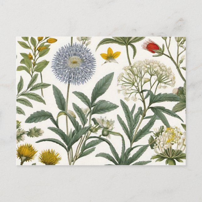 Postal De Invitación Herbal Harmony (Anverso)