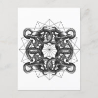 Hermetica Moderna - Medusa intertwiteada