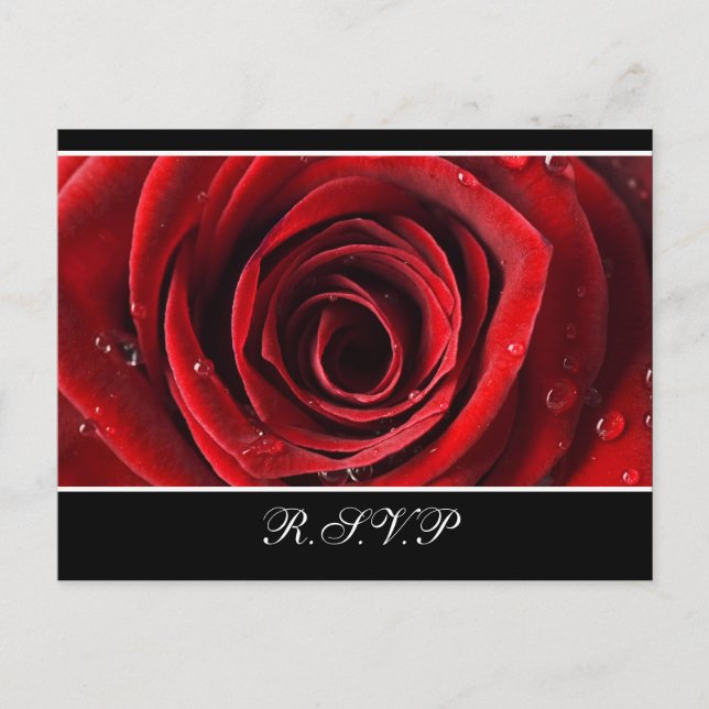 Postal De Invitación Hermosa Boda Rosa Roja RSVP - Negro (Anverso)