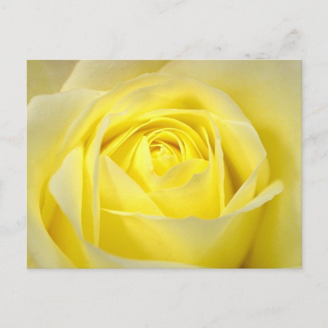 Postal De Invitación Hermosa ducha de novia rosa amarilla (Anverso)