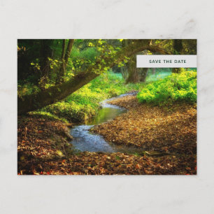 Postal De Invitación Hermosa foto natural del arroyo forestal Save the 