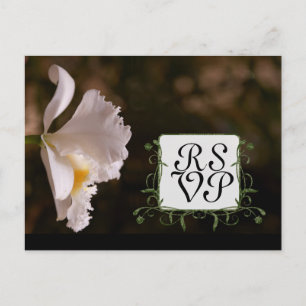 Postal De Invitación Hermosa y elegante respuesta de orquídeas blancas