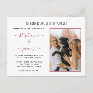 Postal De Invitación Humildes Se Casando Rosa Dorado Foto Mascota Boda