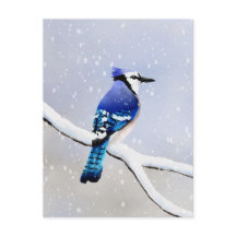 Invierno acuarela Nieve Pájaro Azul Jay