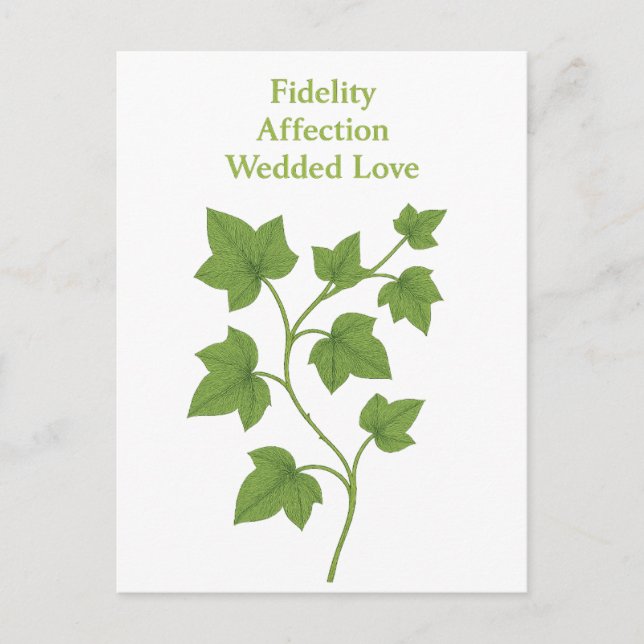 Postal De Invitación Ivy — Fidelidad, afecto, amor casado (Anverso)
