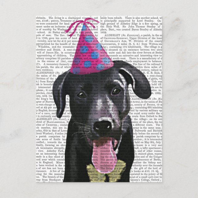Postal De Invitación Labrador negro con Gorra Fiesta (Anverso)