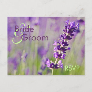 Postal De Invitación Lavendar - Postcard RSVP