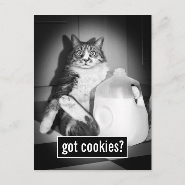 Postal De Invitación Leche de gato de jug (Anverso)