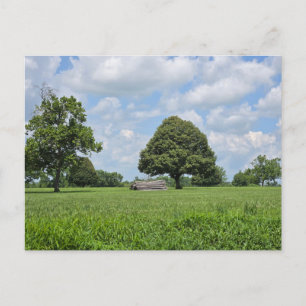 Postal De Invitación Lexington, Kentucky