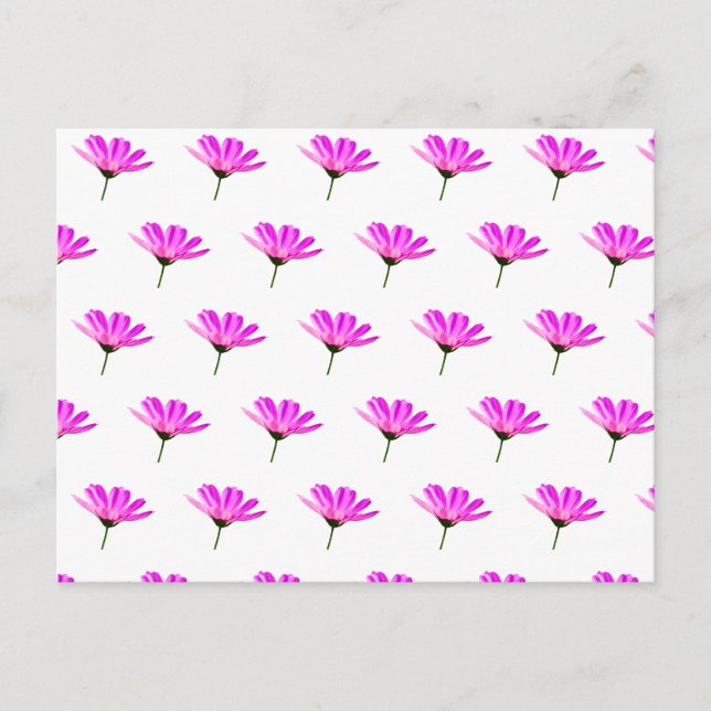 Postal De Invitación Margarita Rosa  (Anverso)