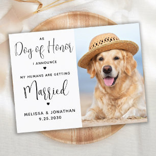 Postal De Invitación Mascota personalizado Foto Código QR simple Boda d