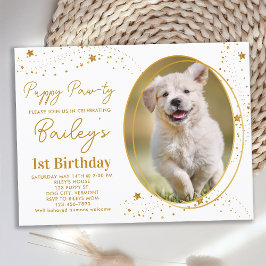 Postal De Invitación Mascota personalizado Foto Oro Estrellas Perro Cac