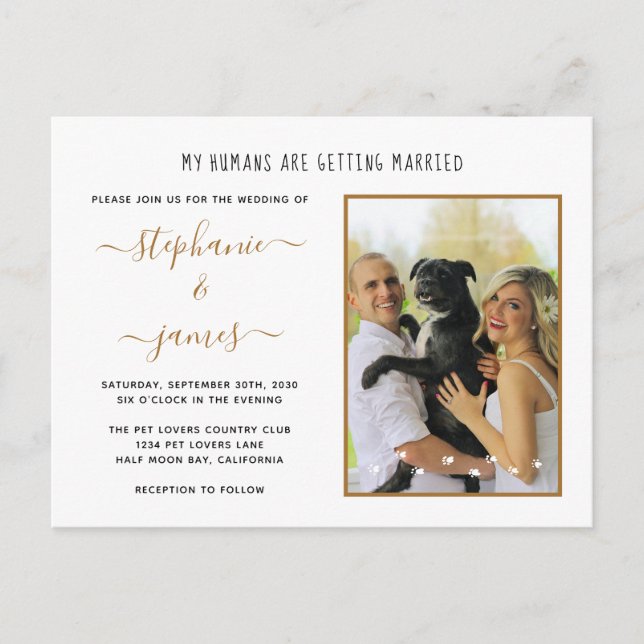 Postal De Invitación Mis Seres Humanos Se Están Casando Con Un Boda De  (Anverso)